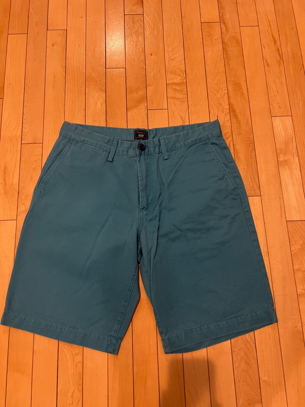 GAP Men's Teal Flat Front Shorts